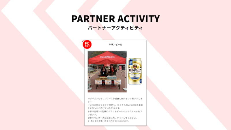 PARTNER ACTIVITY